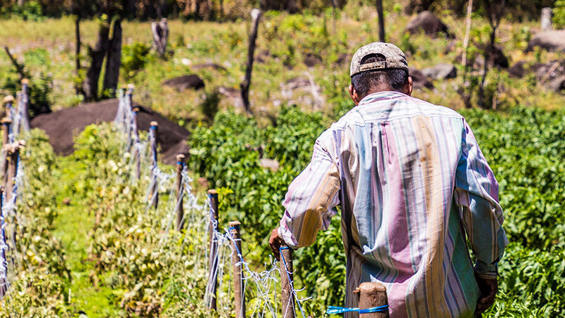 An agriculture worker in Nicaragua's Caribbean region, where a GCF project is under a complaint.