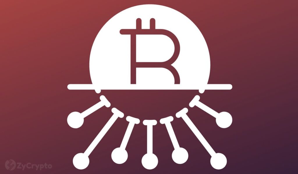 El Salvador’s Losses Swell Even As President Nayib Bukele Adds Another $1.5 Million Bitcoin
