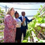 Los murciélagos de Carol para el programa de trabajo agrícola para discapacitados |  conocimiento
