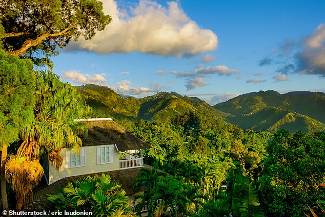 Ubicado en las Montañas Azules, el Hotel Strawberry Hill (en la foto) es propiedad de Chris Blackwell, el productor discográfico que construyó la carrera musical de Marley.