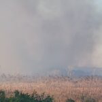 Los hoteleros de Negril advierten sobre un antiguo problema de incendios en los pantanos