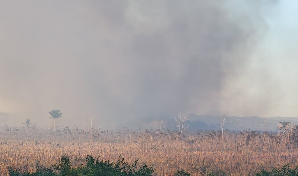 Los hoteleros de Negril advierten sobre un antiguo problema de incendios en los pantanos