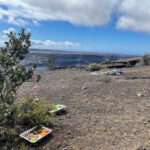 Convocatoria de ofertas de volcanes no válidas Recordatorio de NPS