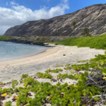 Los permisos para acampar en zonas rurales para el Parque Nacional de los Volcanes de Hawaii se pueden comprar en línea