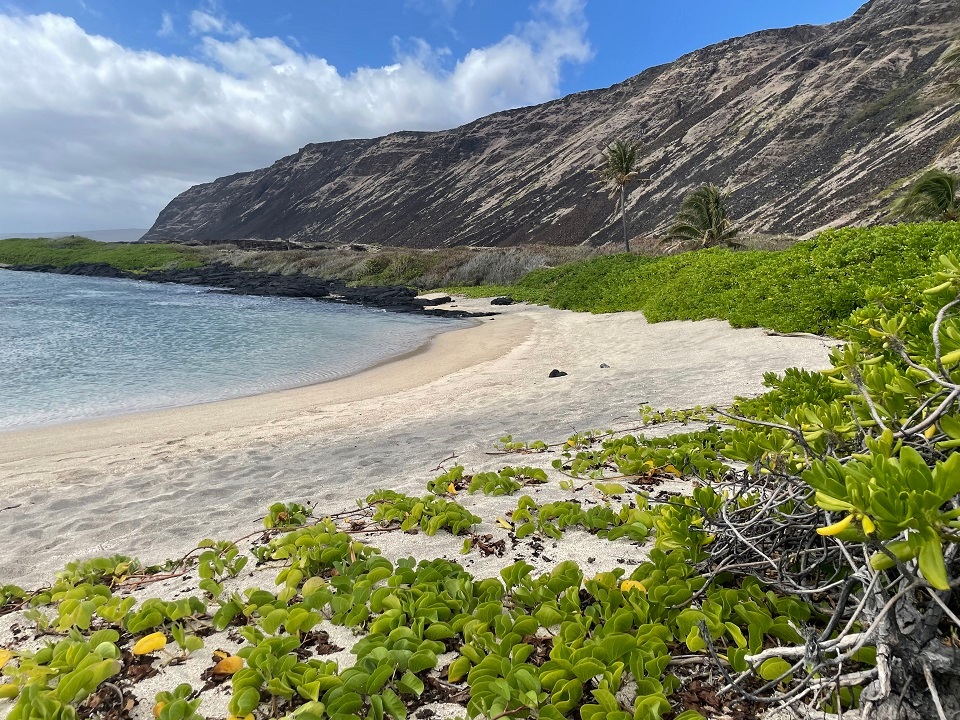 Los permisos para acampar en zonas rurales para el Parque Nacional de los Volcanes de Hawaii se pueden comprar en línea