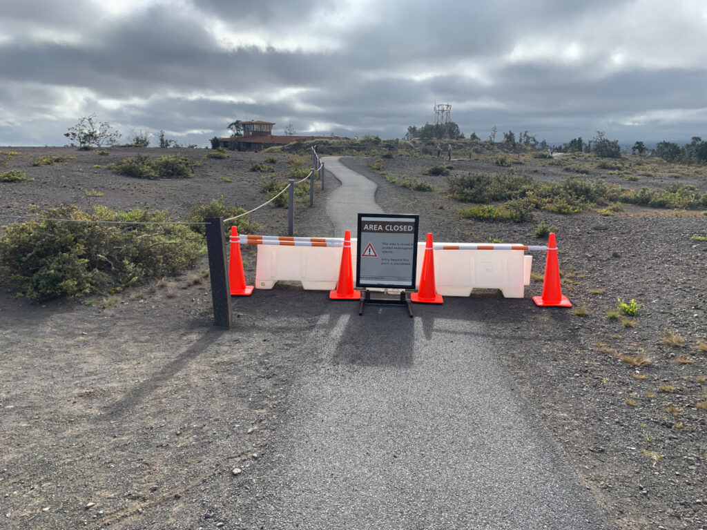El Parque Nacional de los Volcanes de Hawaii cierra áreas para proteger a la pareja Nenē