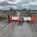 El Parque Nacional de los Volcanes de Hawaii cierra áreas para proteger a la pareja Nenē
