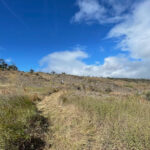 Hawaii Volcanoes reabre carreteras, albergue y Kaʻū Wilderness Trail