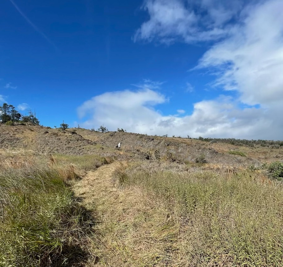 Hawaii Volcanoes reabre carreteras, albergue y Kaʻū Wilderness Trail