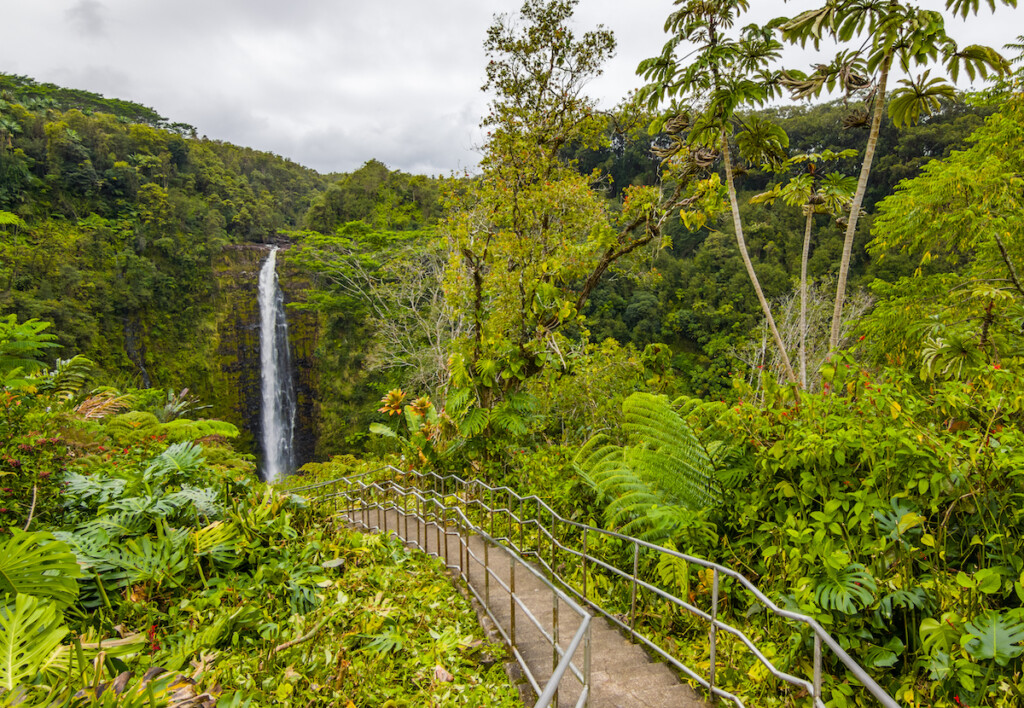 Cataratas de Akaka.  El agua cae desde el borde del acantilado hasta la piscina profunda que se encuentra debajo.  La Isla Grande de Hawaii.
