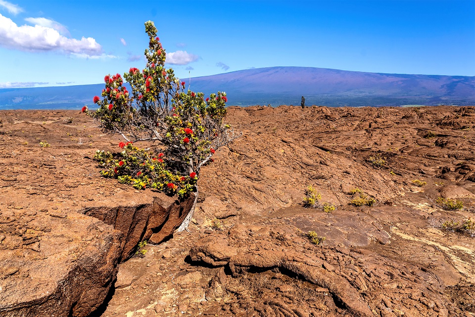Más áreas cerradas en medio de disturbios cerca del volcán de Hawái