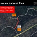 Parque Nacional de los Volcanes de Hawái: el jueves comienza el cierre temporal del moho de los árboles a los vehículos: Big Island ahora