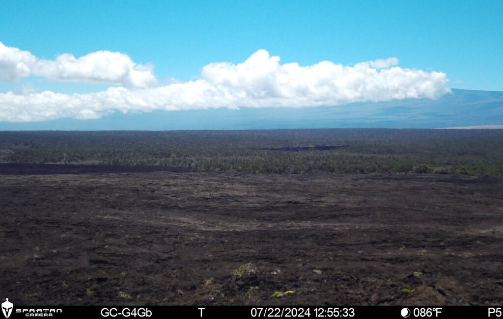 Un aumento repentino de la actividad sísmica en el volcán Kilauea provocó la declaración del USGS