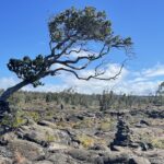 Los permisos de Hawaii Volcanoes Outback están disponibles por 90 días