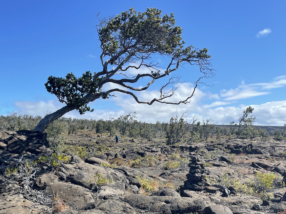 Los permisos de Hawaii Volcanoes Outback están disponibles por 90 días