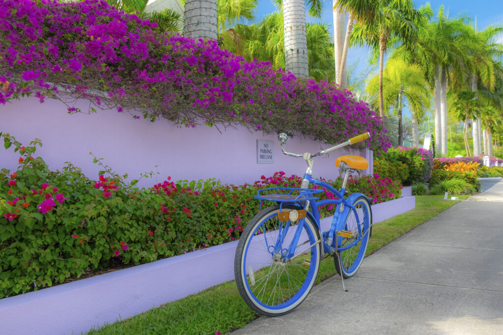 Bicicleta azul en Gran Caimán