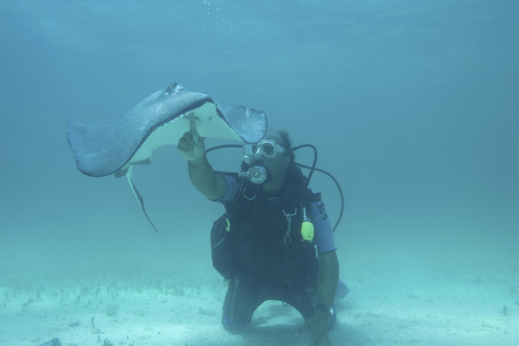 Snorkel con mantarrayas desde Gran Caimán.