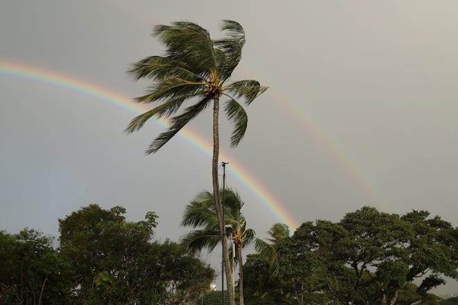 Se ve un arcoíris en el último Sony Open Tour en Hawaii 2025 en Waialae Country Club.