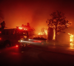 Nativos de Hawái con conexiones en Los Ángeles se solidarizan con los afectados por el incendio Palisades en curso | Noticias