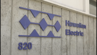 Las empresas hawaianas luchan por encontrar huevos | Noticias