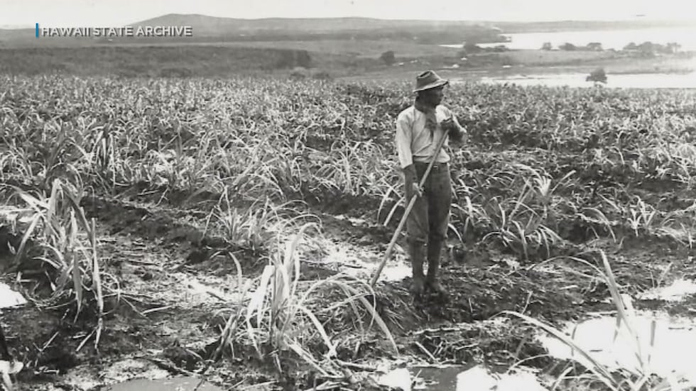 La comunidad de Okinawa celebra 125 años de establecerse en Hawaii