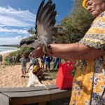 Los programas de recuperación y conservación de aves marinas y de los bosques de Kaua’i se trasladarán a una instalación compartida: Maui Now