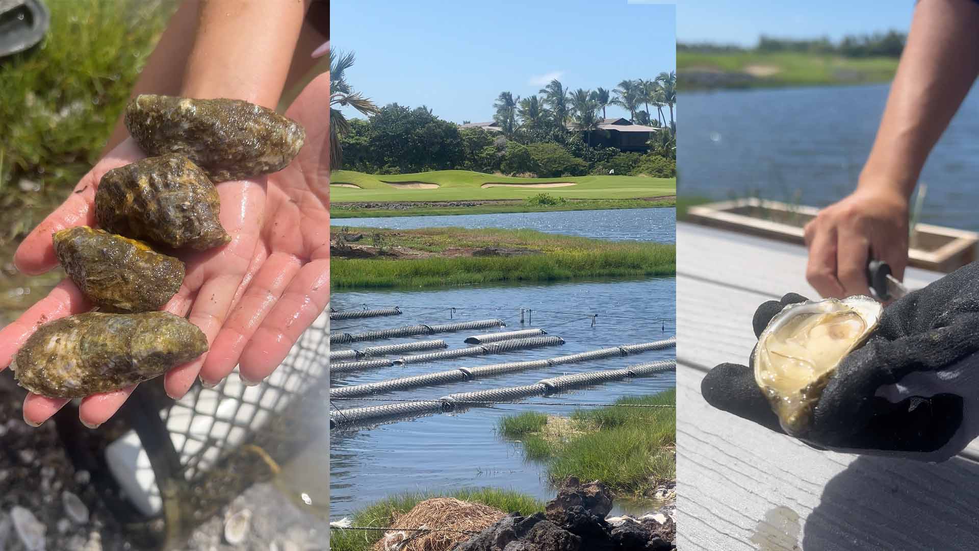 Campo de golf Ke'olu Oyster Pond