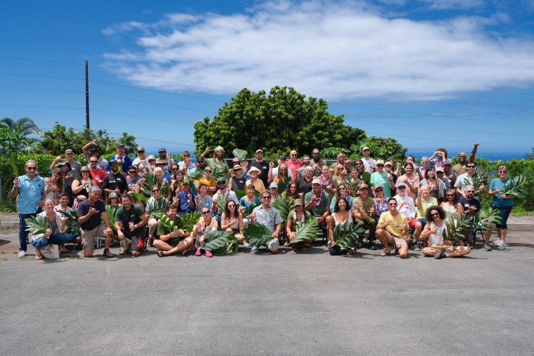 Cortesía de Hawaii 'Ulu Cooperative.