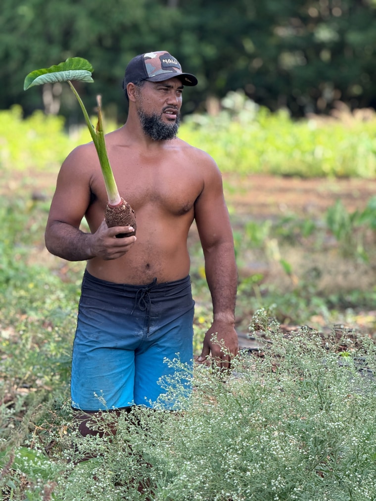 En Hawai, donde se importa el 90% de los alimentos, los agricultores que compensan los desequilibrios ahora
