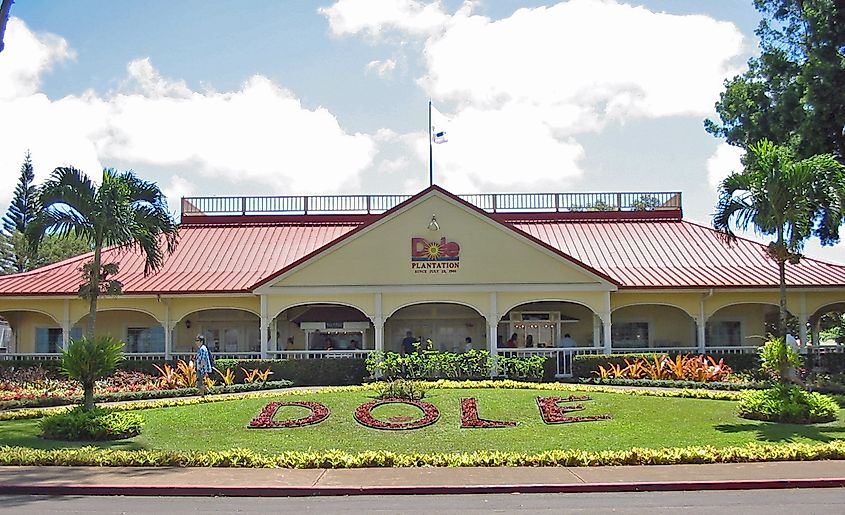 Plantación de Dole.