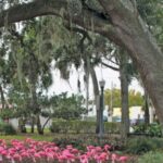 Parques innovadores de Albert y Dartmute para finales de julio