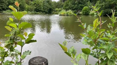 Lago BBC en Stratford Park con cisnes en la distancia.