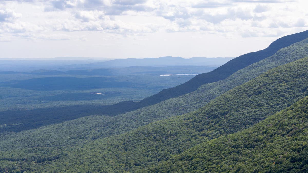 Kaaterskill bosque salvaje 