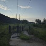 El parque de perros emergente de Asheville se abre hasta que se enfrenta la ciudad