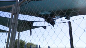 El incidente incendio en el arson en Provo Park recae en más de $ 120,000 daños