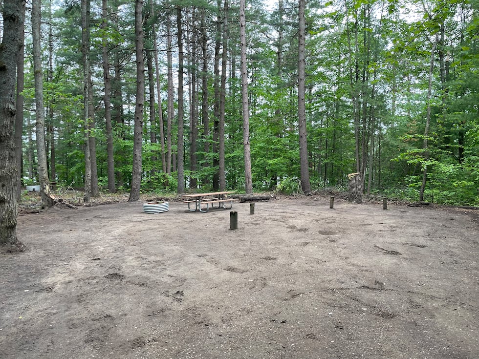 Uno de los campings bosques estatales de Michigan, que fue retirado de la basura y se abrió nuevamente ...