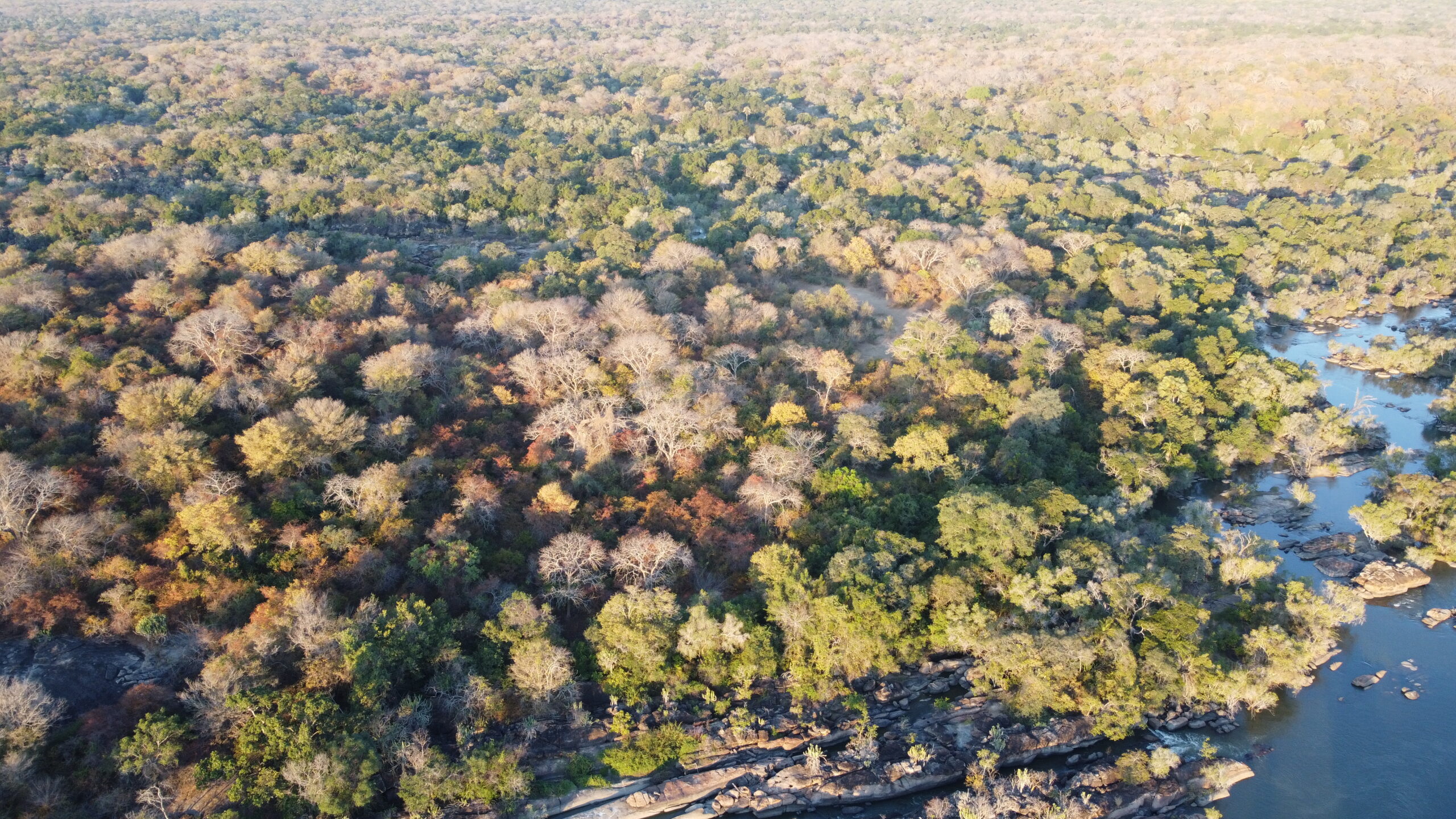 Sección del Parque Nacional Kafue, al lado de su frontera sur, un disparo de drones. El parque está rodeado de nueve zonas de control de juegos que proporcionan un amortiguador ecológico, dice la redada y la forma para que las comunidades locales se beneficien de la vida silvestre. 