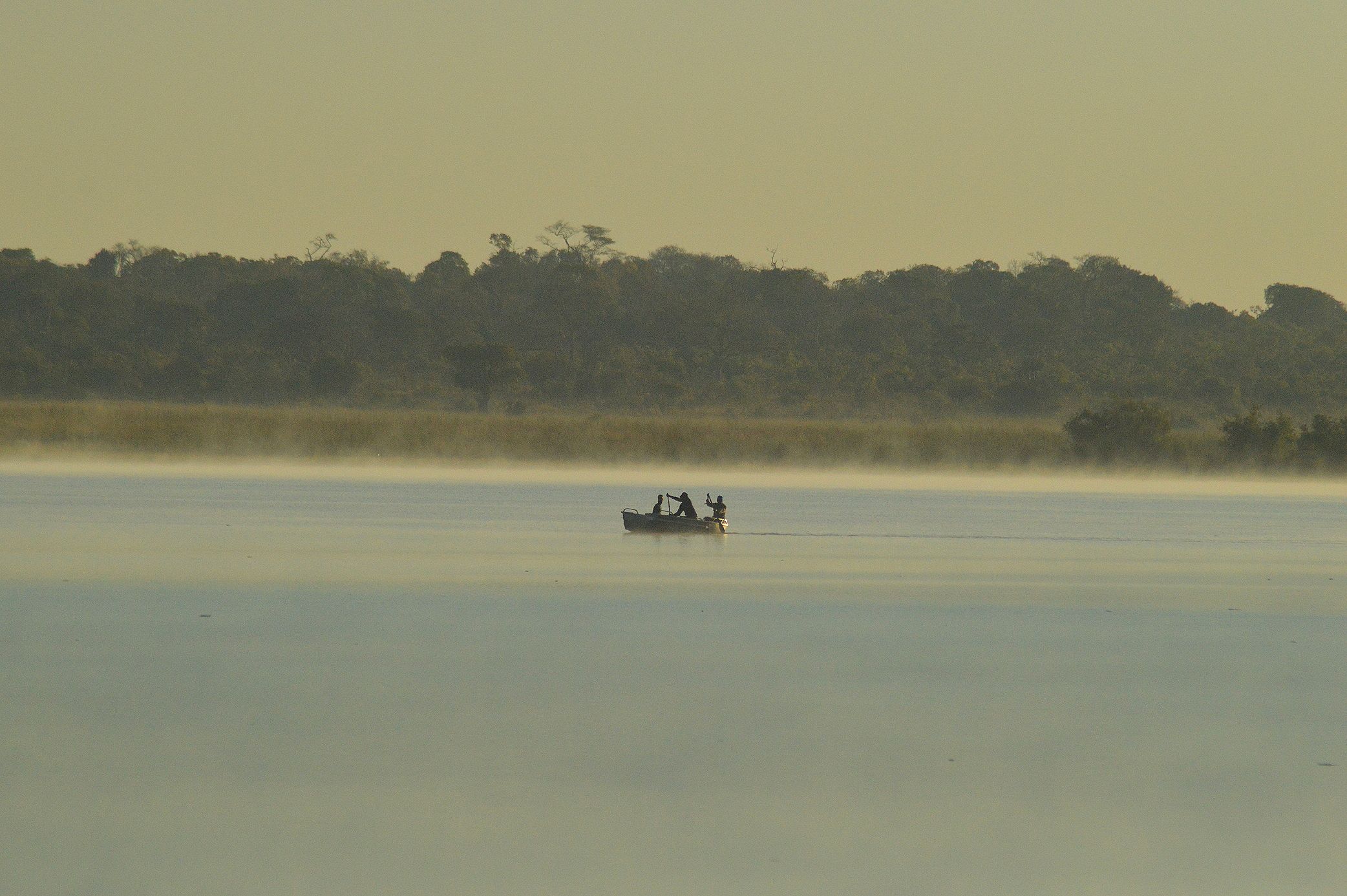 Un grupo de pescadores sale al río temprano en la mañana para colocar sus redes en el río Kafue, fluyendo a través del área de gestión del juego de Mumba (GMA). El AP estima que el valor de los peces que las comunidades en las partes de los pescadores del río fluyen pro GMA, de 4-6 millones. USD al año.