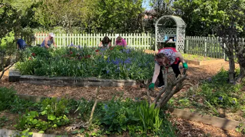 Isabella Verona/BBC Una mujer se inclina en el área del jardín. En el fondo hay otras personas que trabajan en una cama de flores.