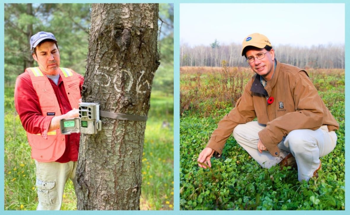 A la izquierda, un hombre que usa una camisa roja y el chaleco de protección de naranja mira un tronco de árbol con un monitor. En el hombre correcto con gafas con pantalones blancos, y una chaqueta marrón masticada en un campo de planta verde.