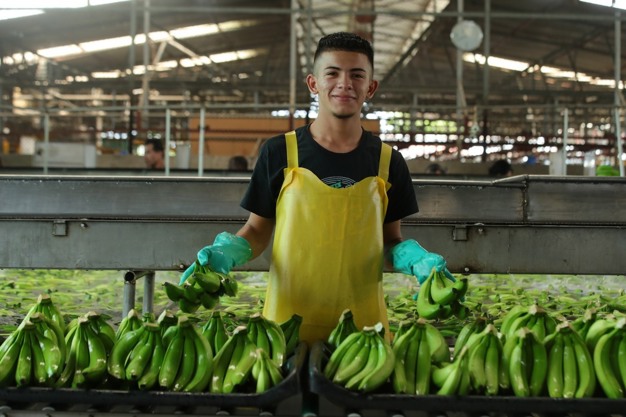Costa Rica y México fortalecen medidas fitosanitarias en preparación para 2026 Para el Congreso Internacional Bananero
