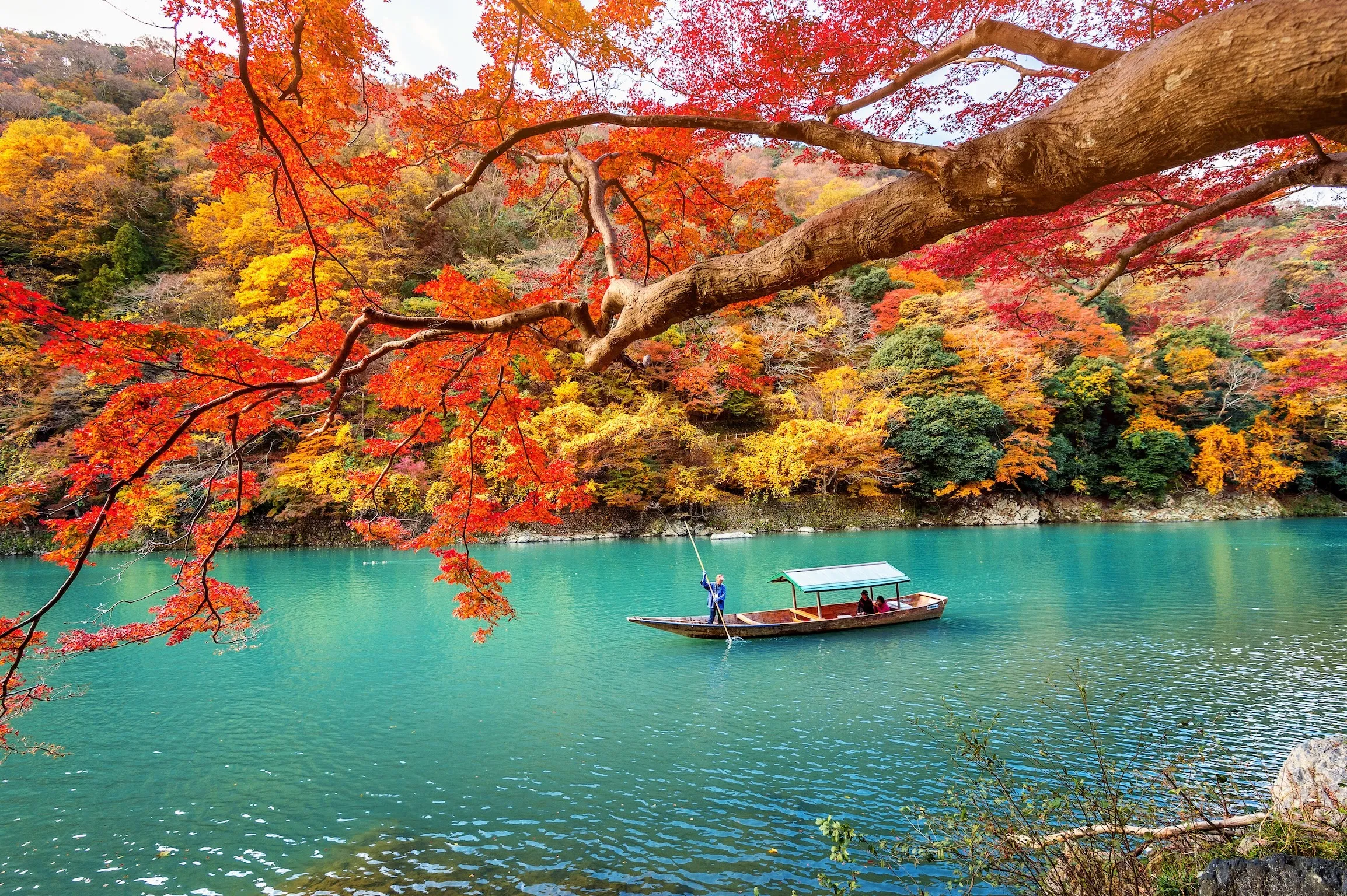 El barquero estrella el barco en el río. Arashiyama en la temporada de otoño junto al río en Kyoto, Japón.