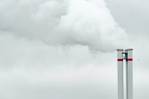 Cuando la política climática de transición verde impulsa la respuesta