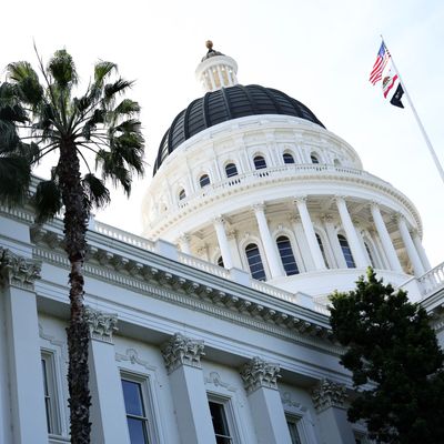 La carrera por la gobernación de California sin estrellas podría ser muy extraña