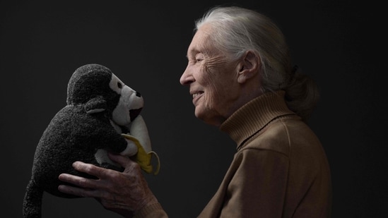 La etóloga y primatóloga británica Jane Goodall, que siempre será recordada por la primera vez que un chimpancé salvaje tomó un plátano de su mano extendida, murió a los 91 años en 2025. El 1 de octubre (AFP)