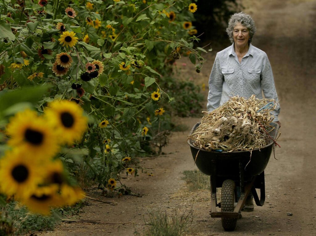Healdsburg da la bienvenida a un nuevo hogar permanente para los agricultores locales