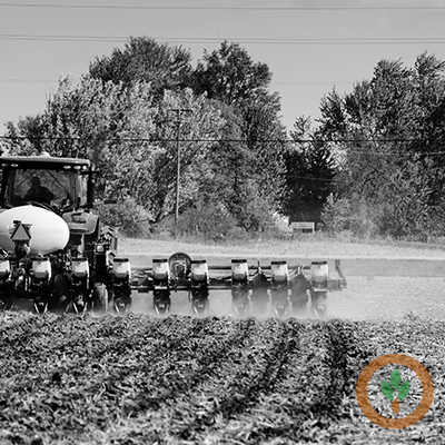 La economía de mercado está alimentando las expectativas de un aumento de la superficie cultivada con soja