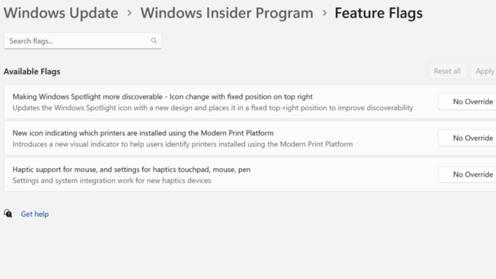 banderas de funciones win11 wip