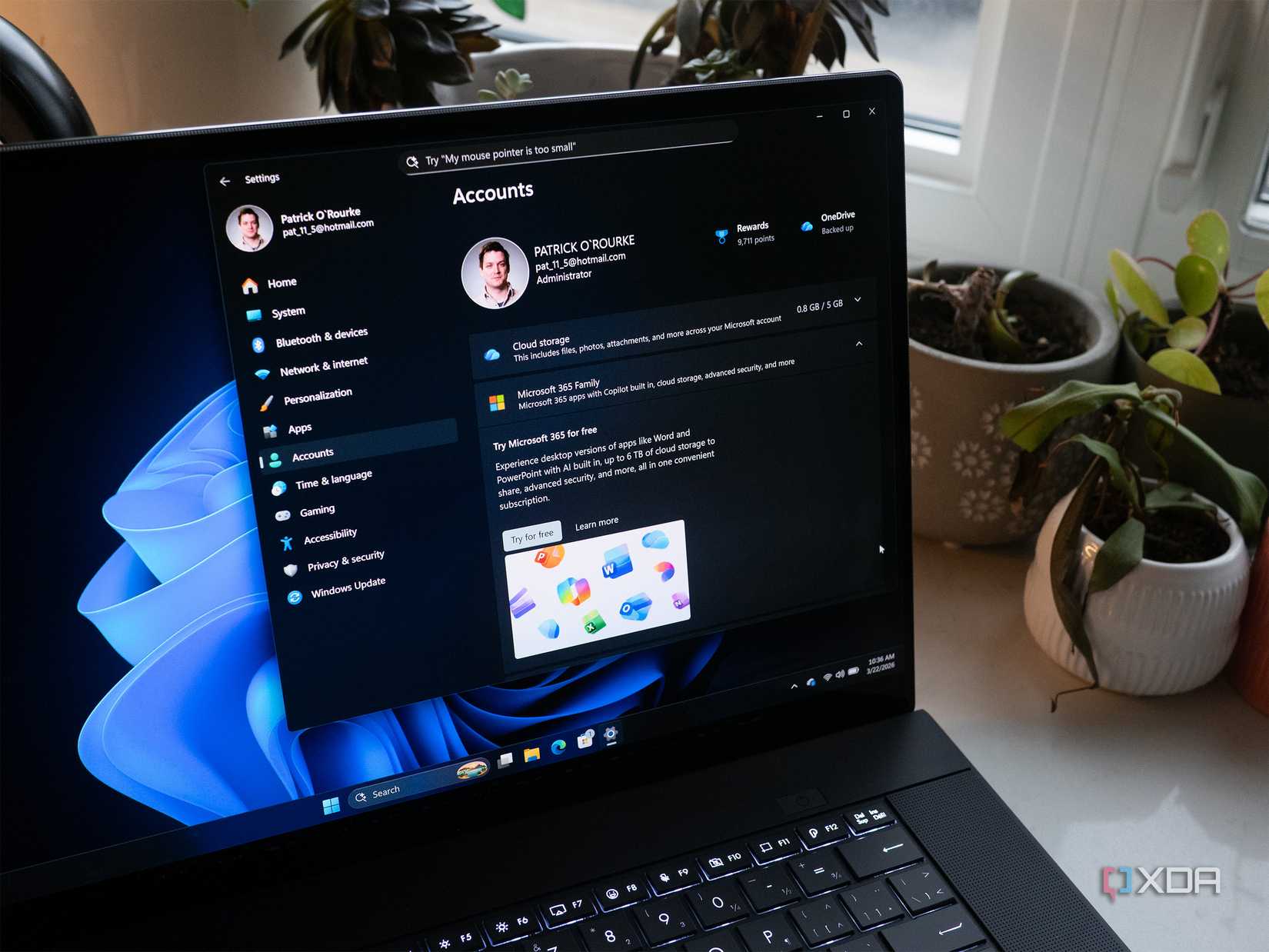 cuentas de windows 11