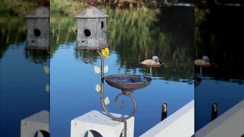 Hay un hallazgo en Amazon para todas las necesidades de los observadores de aves